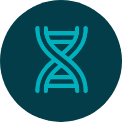 O ícone reflete o símbolo do DNA